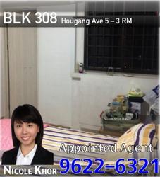 Blk 308 Hougang Avenue 5 (Hougang), HDB 3 Rooms #114440772